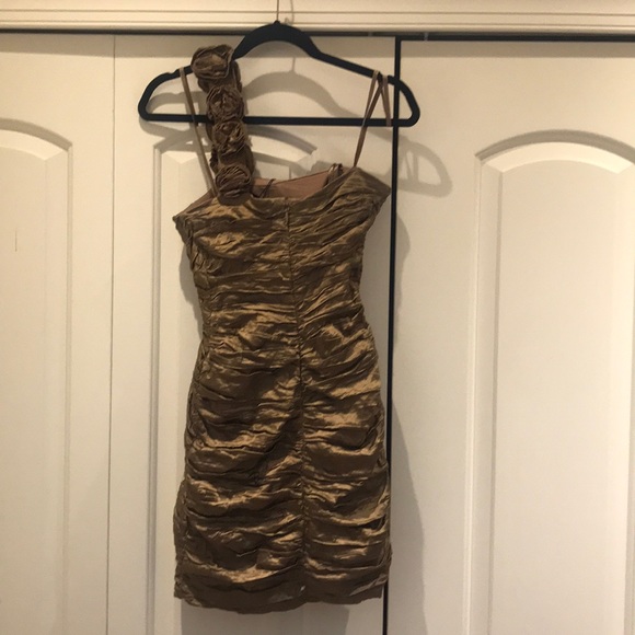 BCBG maxazria dress - Picture 4 of 4